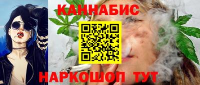 стафф Будённовск