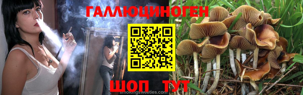 Псилоцибиновые грибы Psilocybe  Вход с VPN  Галлюциногенные грибы Cubensis  Люберцы 