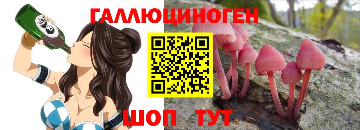 Галлюциногенные грибы мухоморы Люберцы